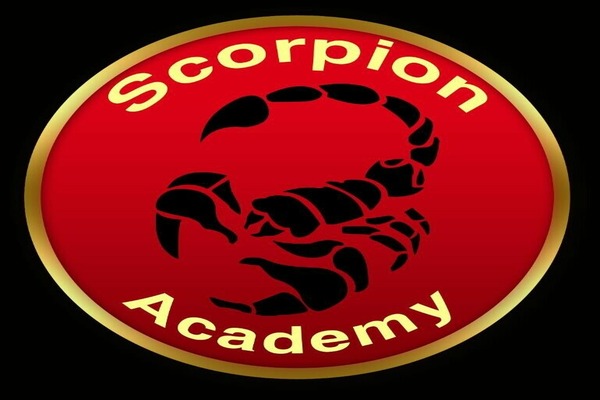 Scorpion Academy المقطم